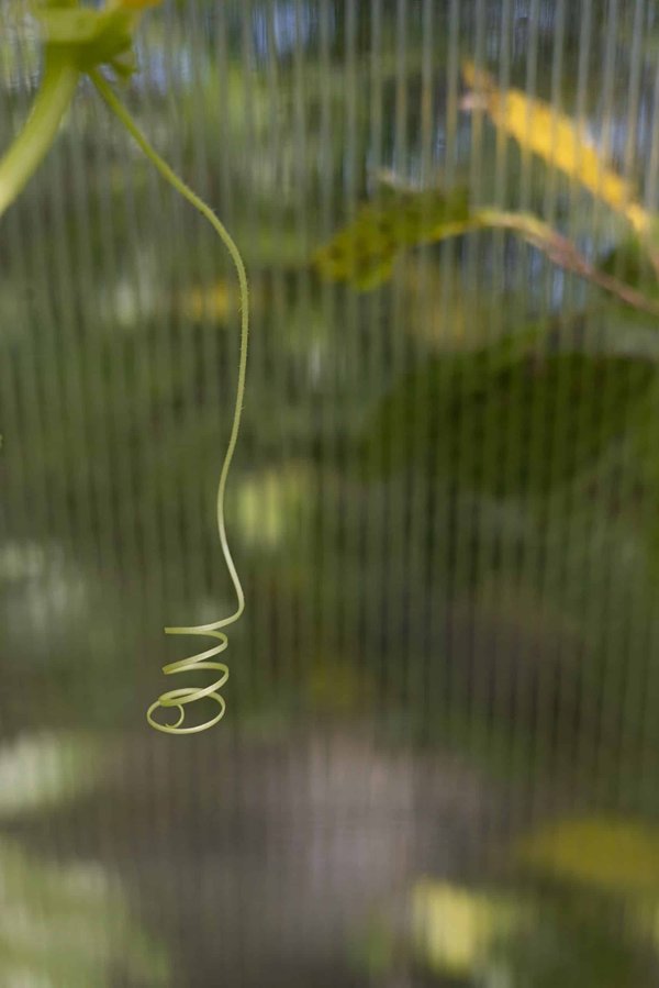 How to Adapt Your UK Restaurant Business Model to the Rise of Food Delivery Apps?