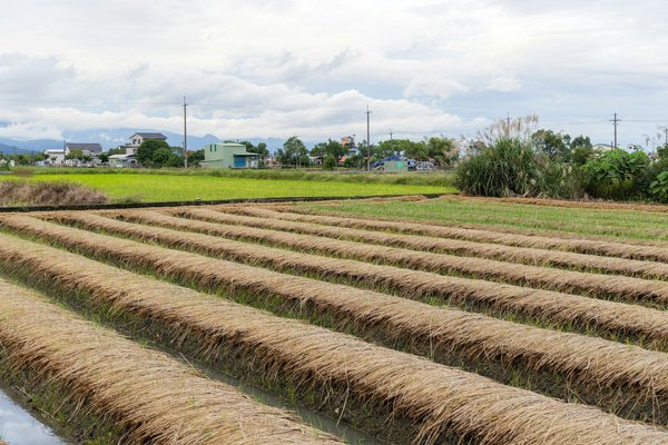 How to Apply Periodization Principles in the Training of Chess Players for Enhanced Concentration?